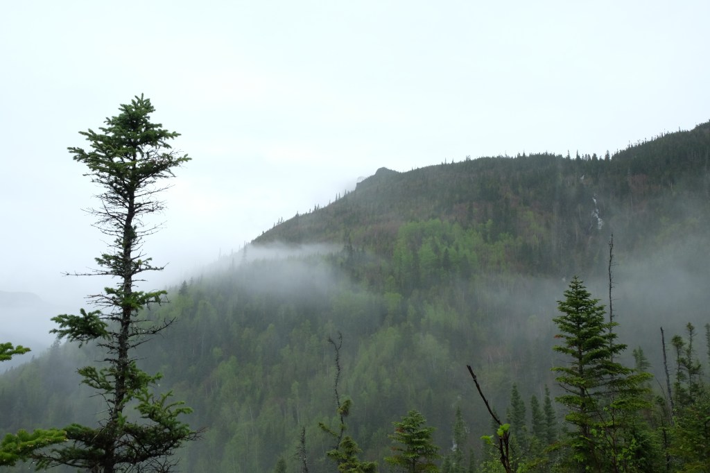 L’Acropole-des-Draveurs