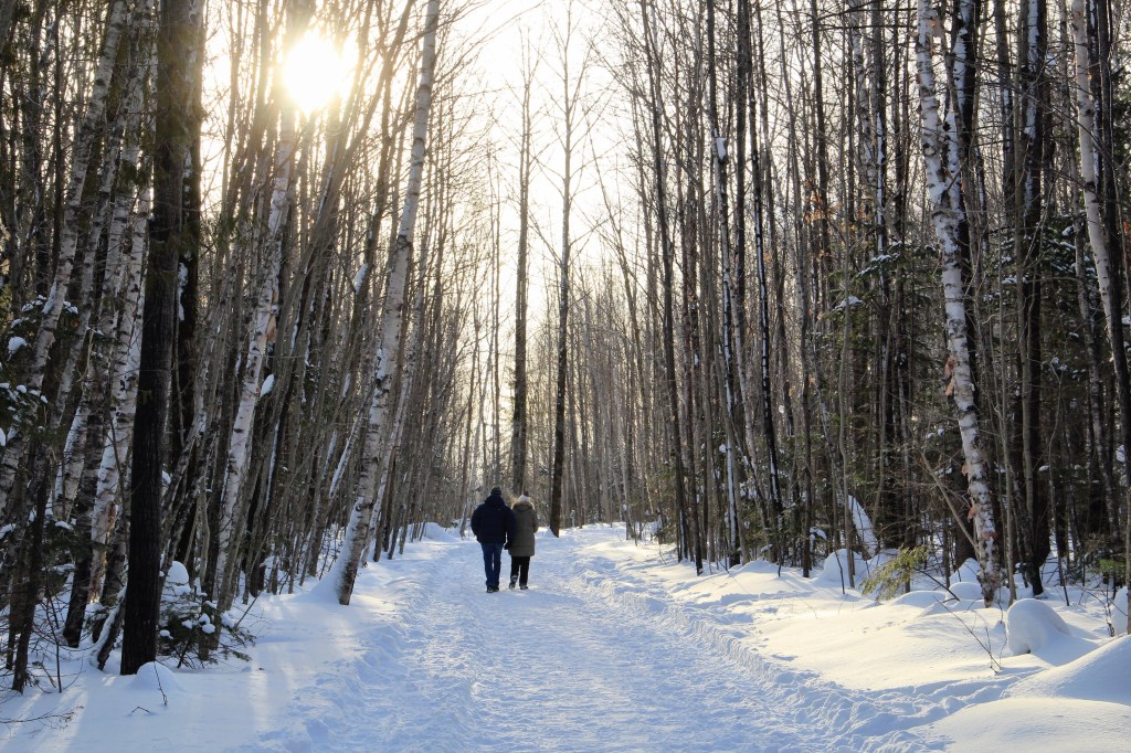 Balade hivernale au Parc des&nbsp;Moulins