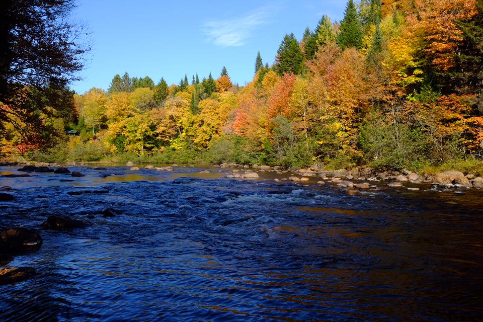 Voici la carte qu’il te faut pour profiter de&nbsp;l’automne