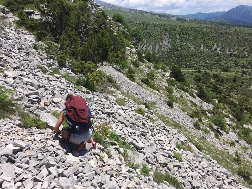 18767871_1485615461459637_5780199294646842292_n