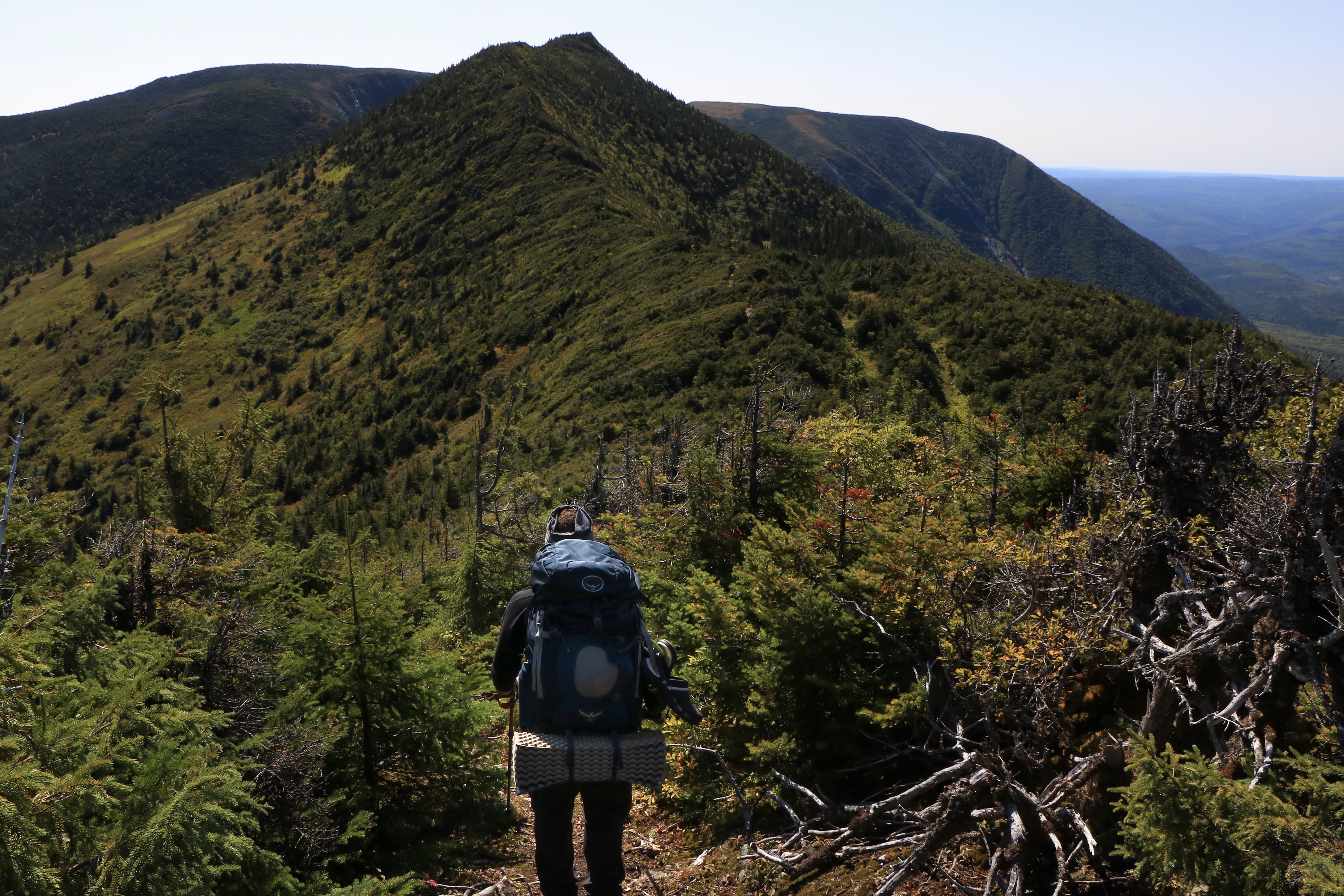 2017-09-06 23.31.36-1