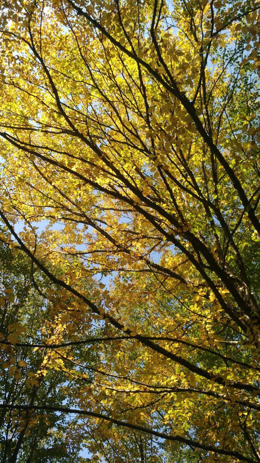 Allons à L’Éperon !