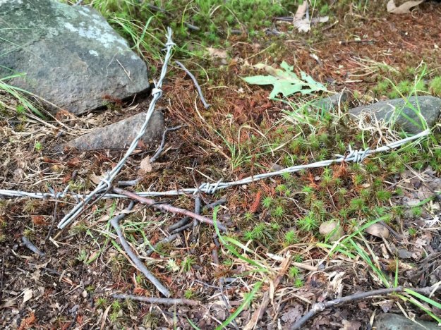 barbedjpg-292e090a839defa2