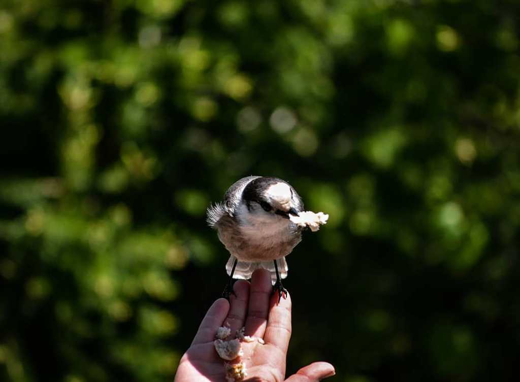 Les 5 photos Instagram de la&nbsp;semaine