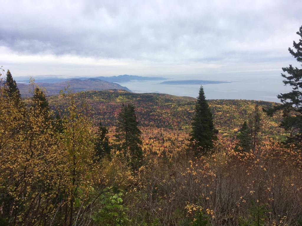 Le sentier à faire autant été comme hiver