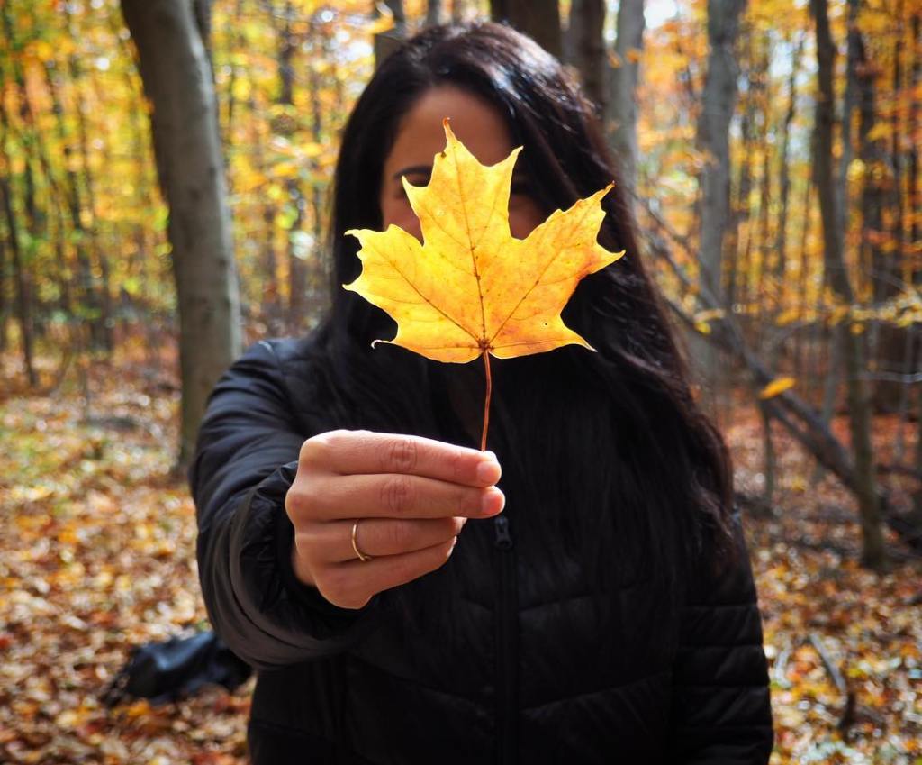3 sentiers à moins d’une heure de&nbsp;Montréal