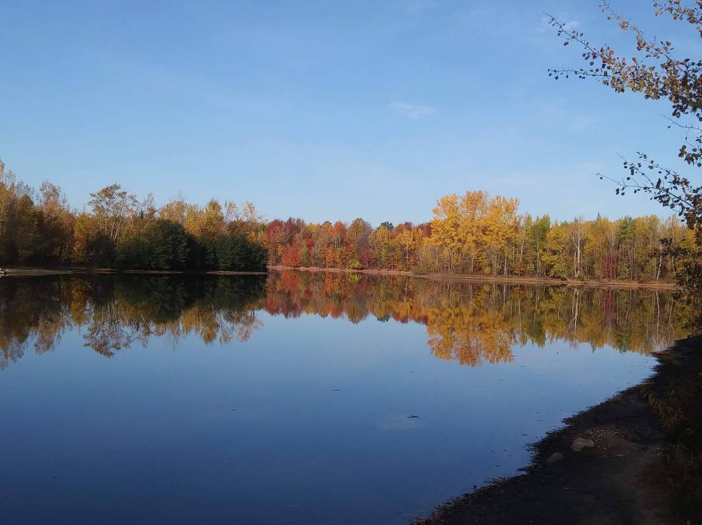 DanielTphoto et les sports canins&nbsp;attelés