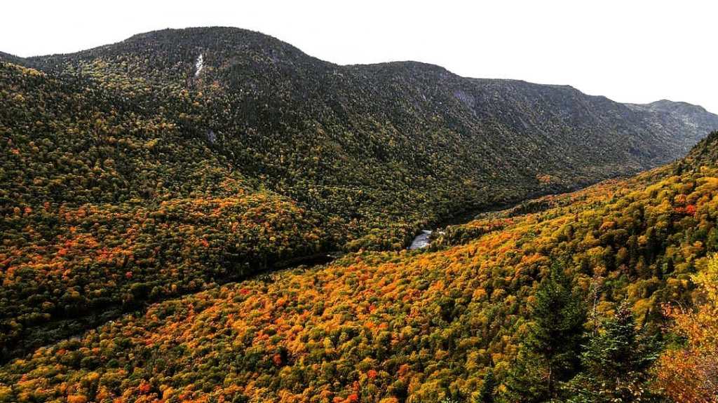 Les 5 photos Instagram de la&nbsp;semaine