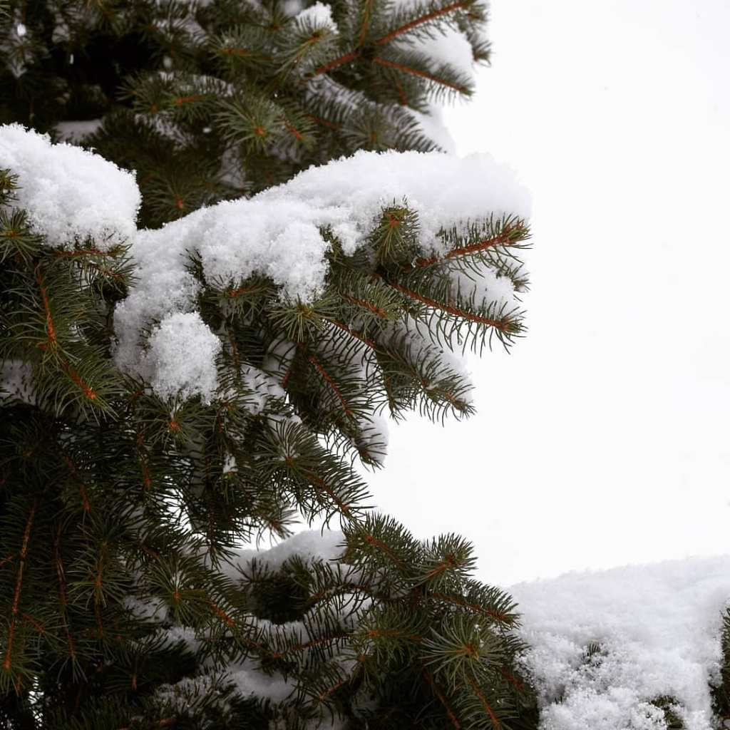 Les 5 photos Instagram de la&nbsp;semaine