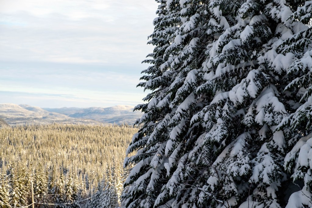 Les 5 photos Instagram de la&nbsp;semaine