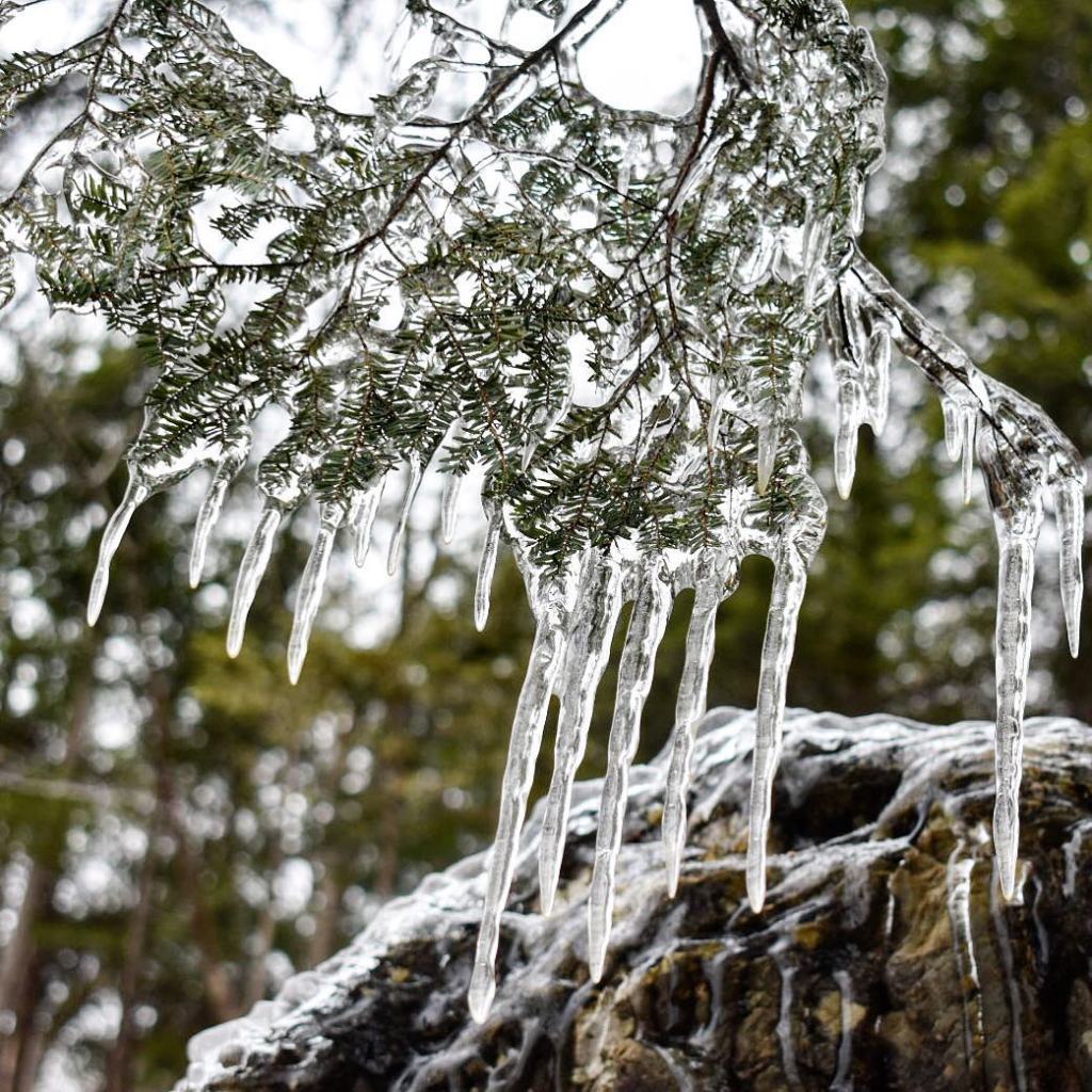 Les 5 photos Instagram de la&nbsp;semaine