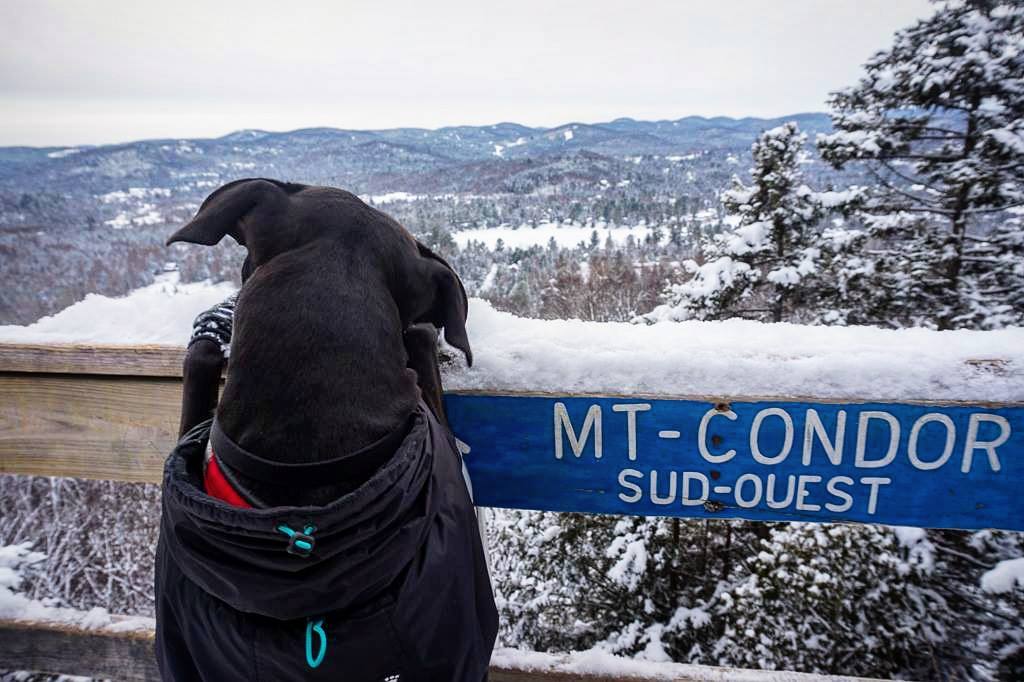 Les 5 photos Instagram de la&nbsp;semaine