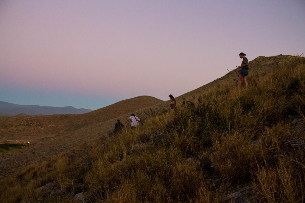 Tacos, Lime et&nbsp;Mexique