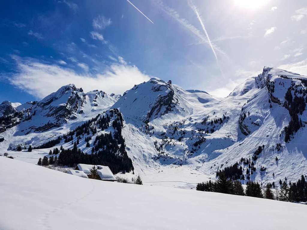 Les 5 photos Instagram de la&nbsp;semaine