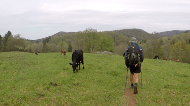 Screenshot_2018-05-07-16-50-04